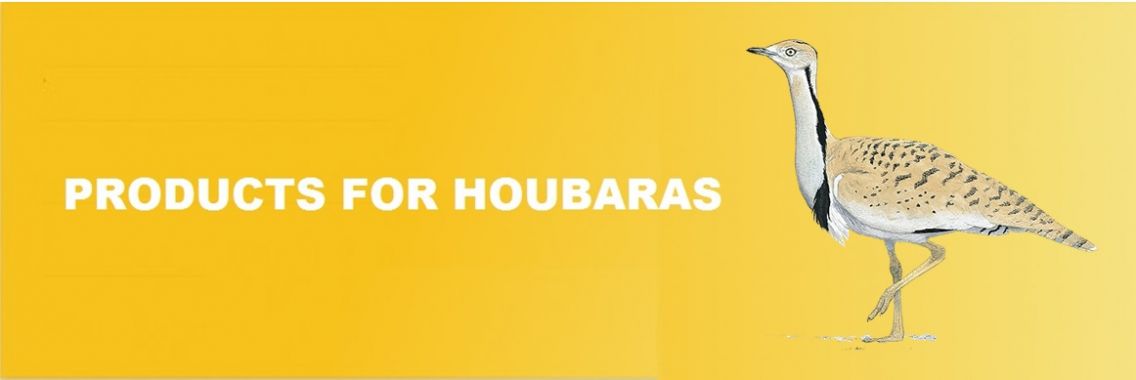 Houbaras Banner